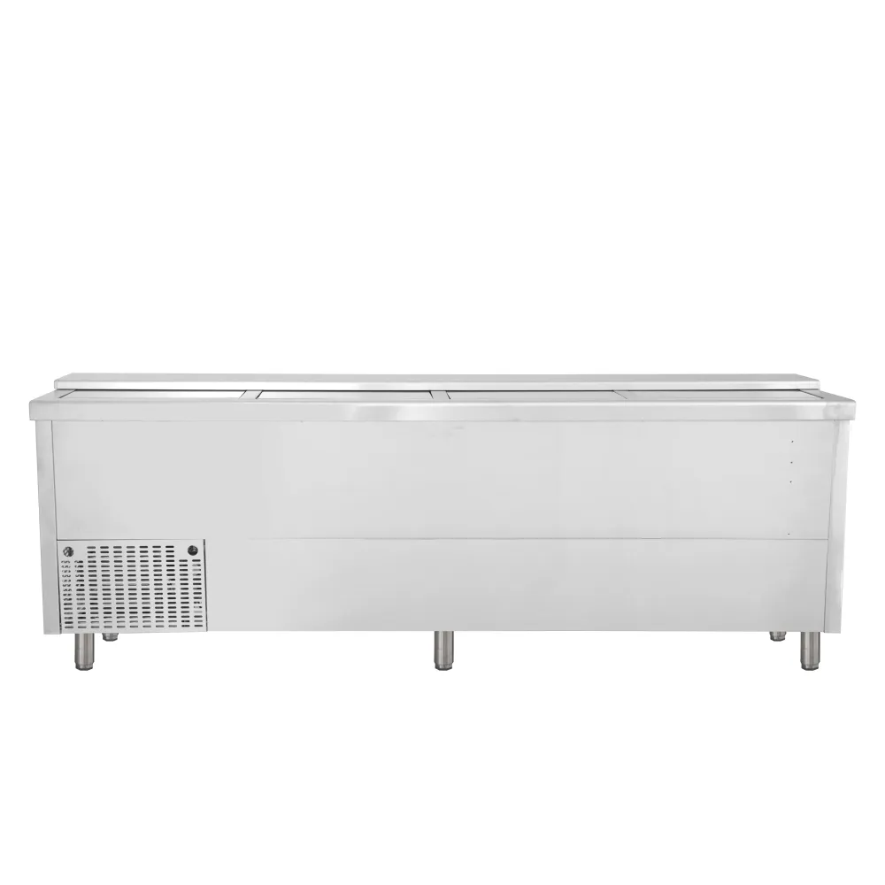 Premium Stainless Steel Bottle Chest Cooler BHC250X1