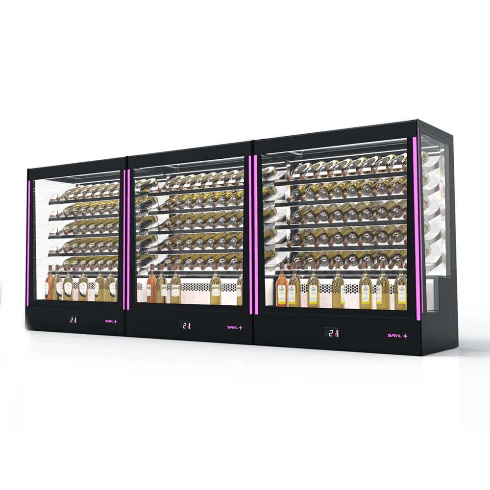 Elegantiška vyno vitrina PAK RAC-W