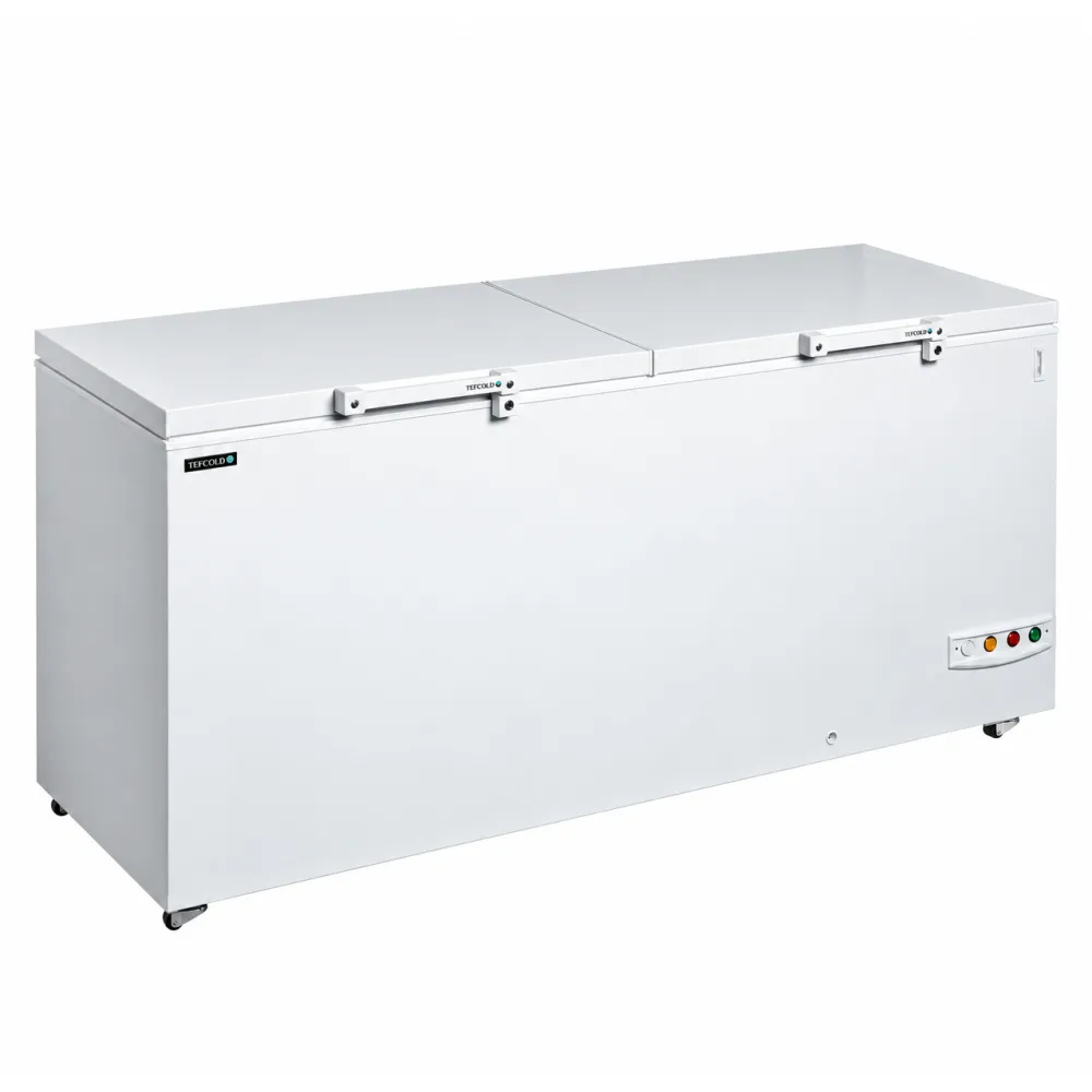 Sügavkülmkirst kaheosalise kaanega, 565 l (FR606 SL)