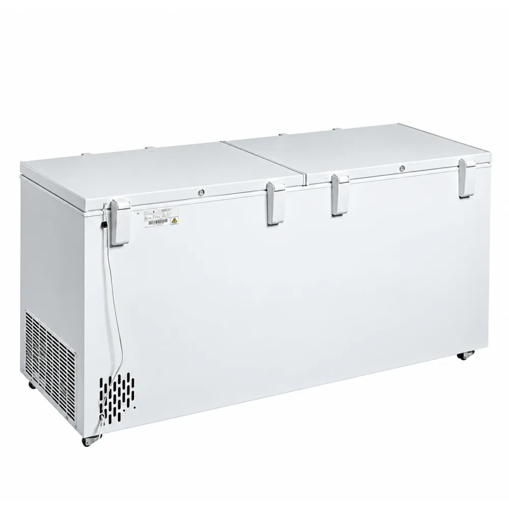 Sügavkülmkirst kaheosalise kaanega, 565 l (FR606 SL)