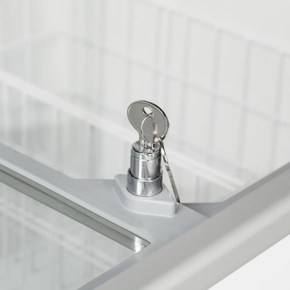 Kohandatud Jäätise Sügavkülmik IC301SC