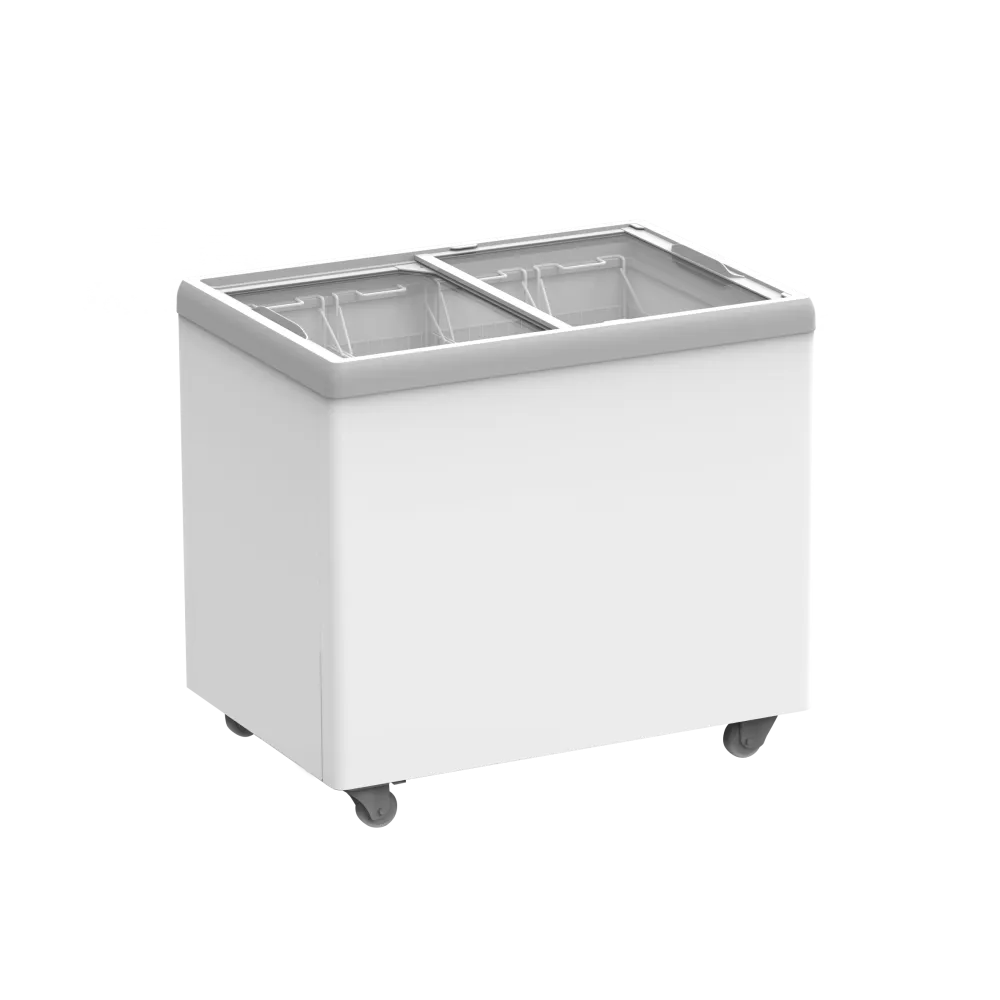 Vitrine à glace 223L IC310D - Idéal pour vos besoins glacés