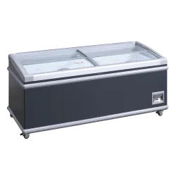 Poe vitriin 430L SIF600ADGC