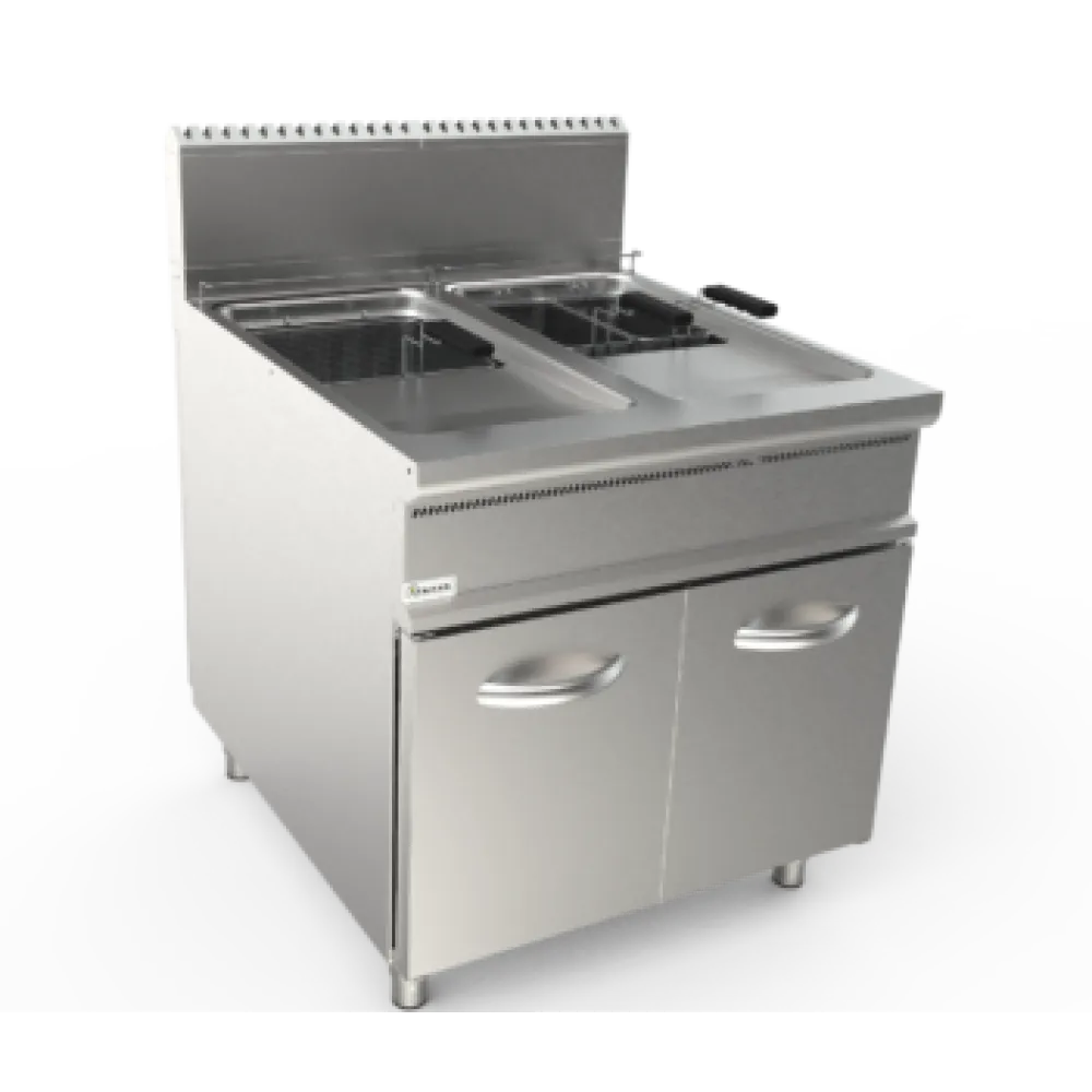 Professional Gas Fryer with Dual Tank 21+21L