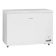 Sügavkülmik 400L CF400WE (01124210000CF400WE)