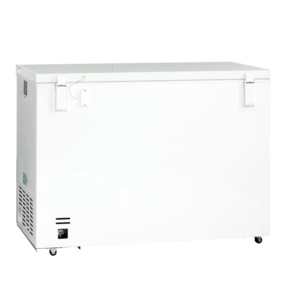 Sügavkülmik 400L CF400WE (01124210000CF400WE)