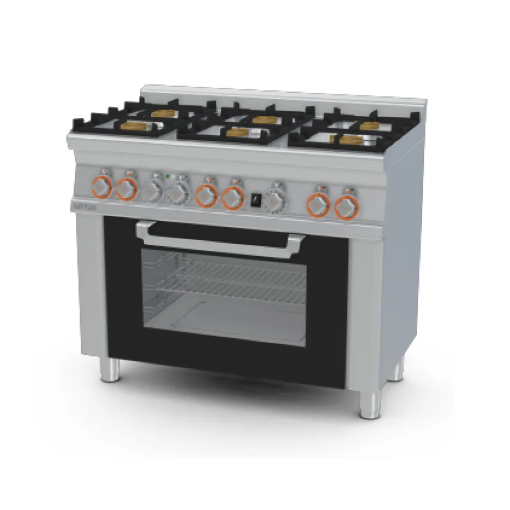 Gaasipliit elektriahjuga CF6-610GEM/V (06691060)